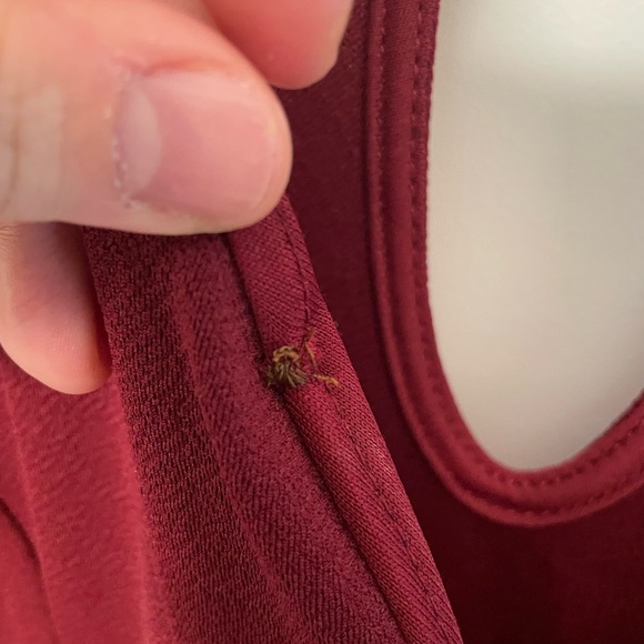 Charlotte Russe Red Peplum Dress 1X - Picture 3 of 4